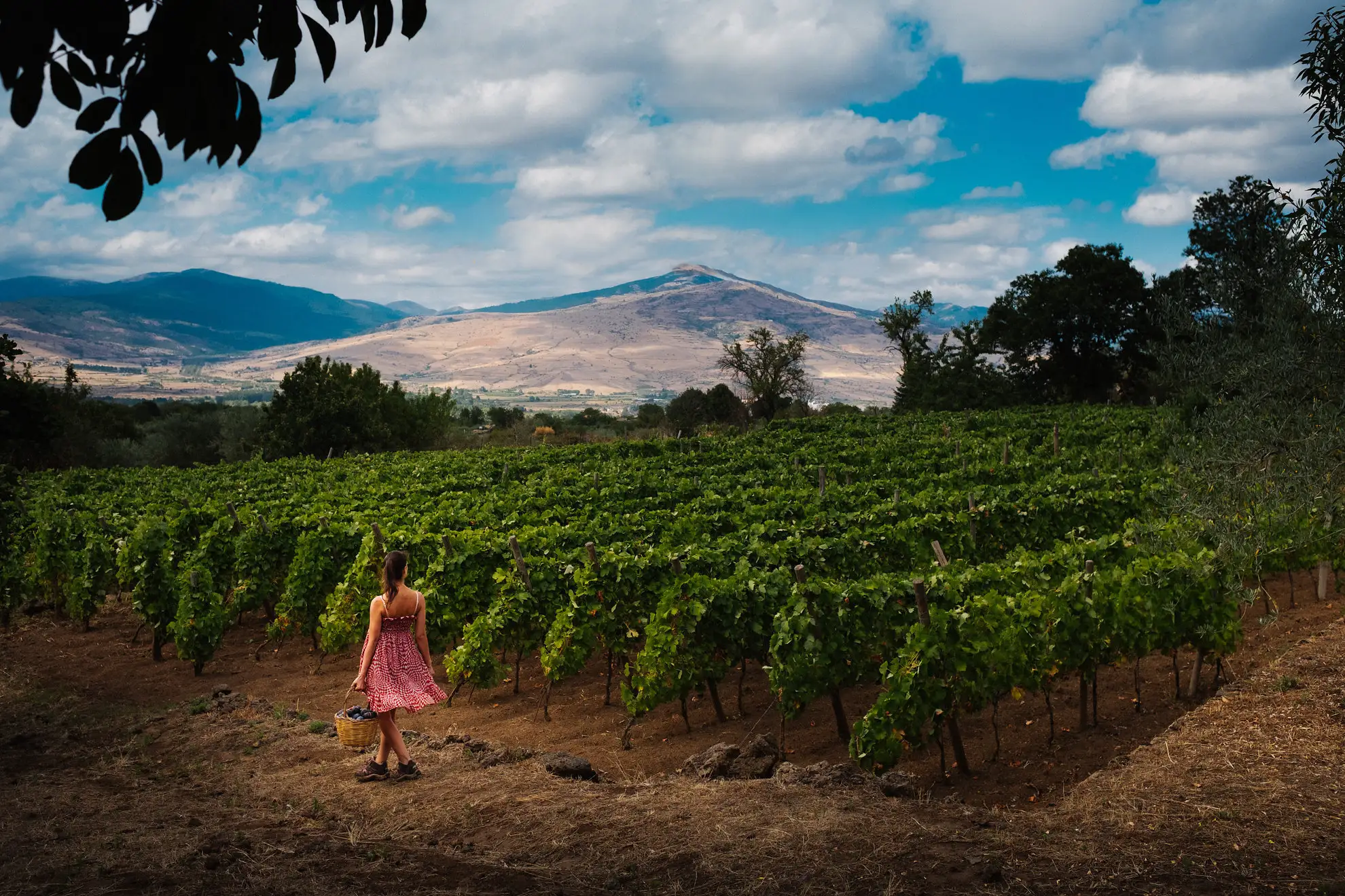 Private Helicopter and Wine Experience on Mount Etna &ndash; One Percent Sicily